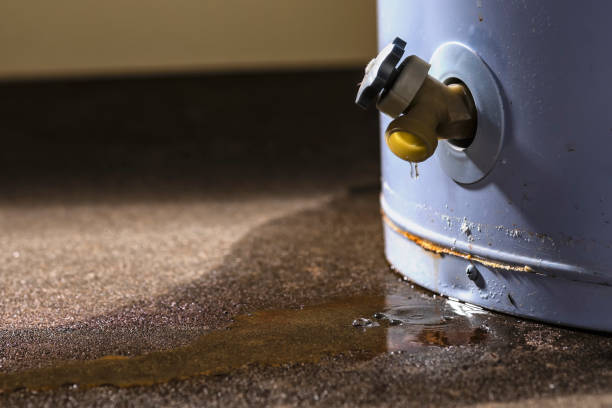 Best Water damage cleanup near me  in Harker Heights, TX