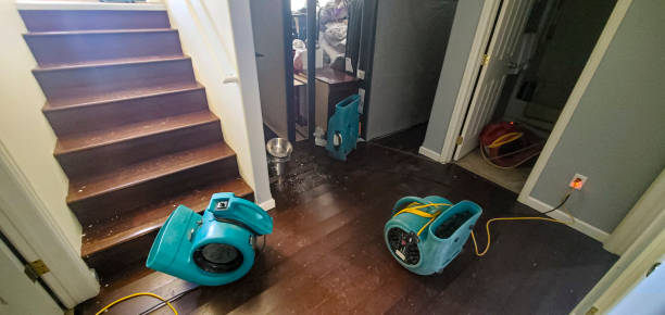Best Water damage restoration near me  in Harker Heights, TX