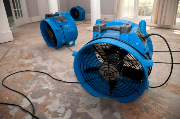 Best Water damage restoration specialists  in Harker Heights, TX