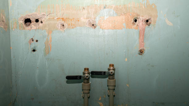 Best Water damage restoration near me  in Harker Heights, TX